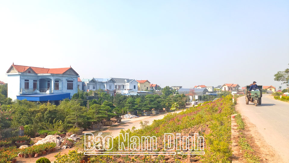 Vùng đất trù phú này ở Nam Định, xây nhà thì to đẹp, làm vườn thì toàn trồng những loại cây cảnh đang hot - Ảnh 1.