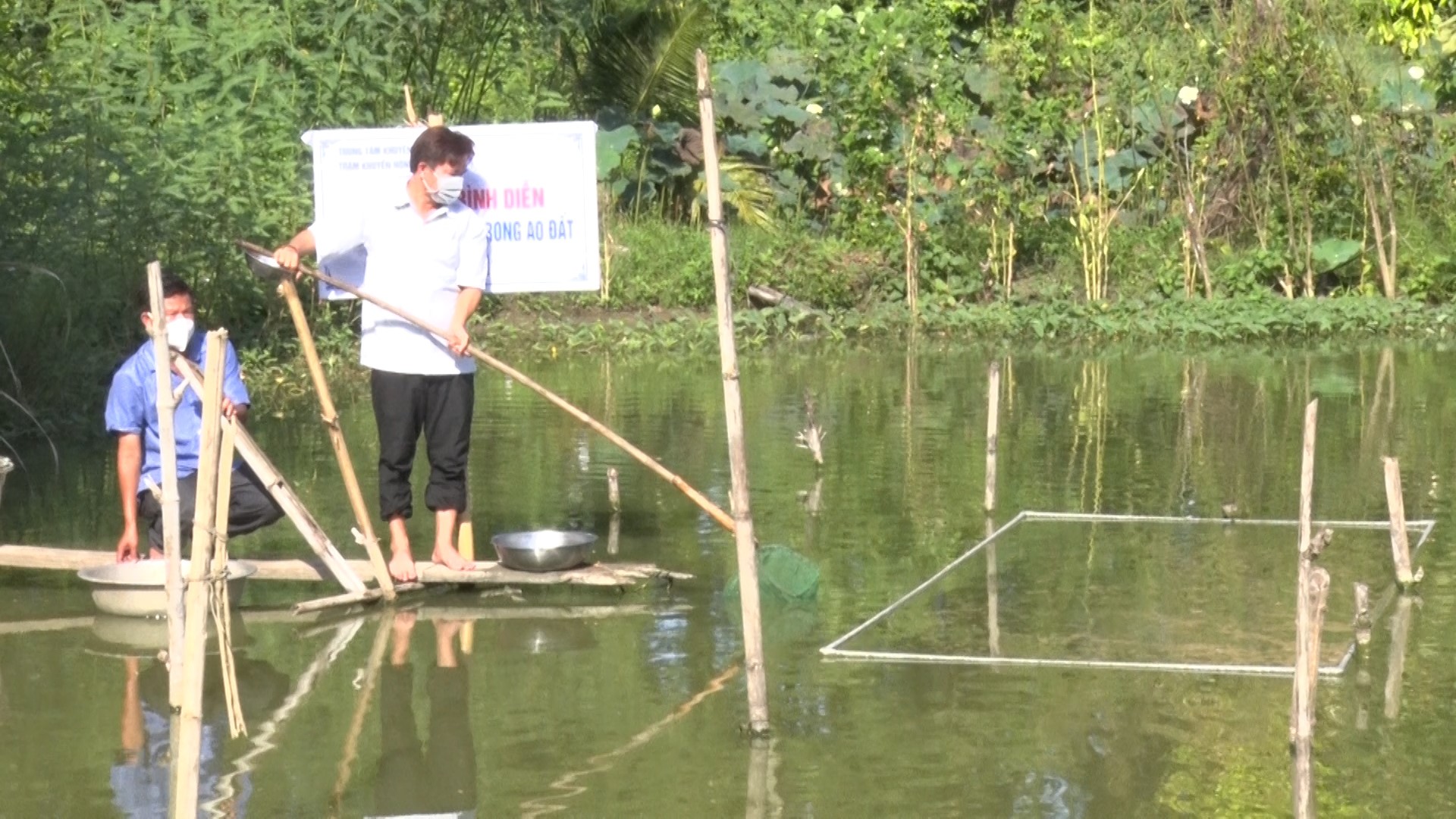 Nuôi cá đặc sản ví như nhân sâm nước thành công, cơ hội làm giàu của nông dân An Giang - Ảnh 2.