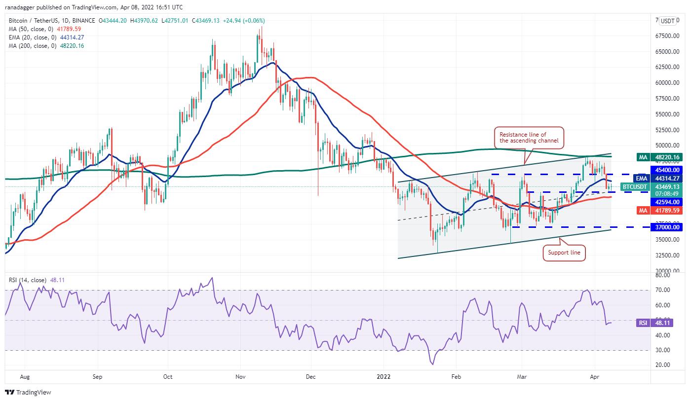 Giá Bitcoin hôm nay 9/4: Bitcoin vẫn lao xuống, thị trường tiêu cực - Ảnh 1.