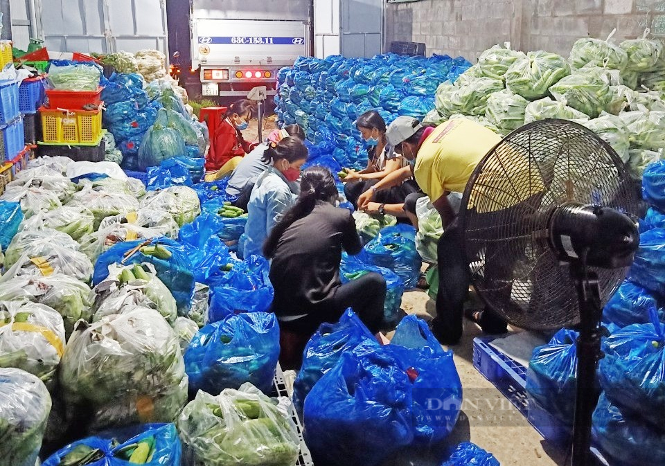 Hội Nông dân tỉnh Long An giúp nông dân chuyển đổi số và đưa sản phẩm lên chợ điện tử - Ảnh 4.