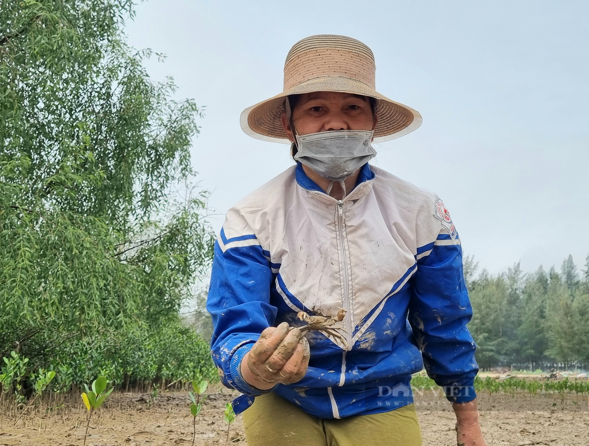 Thanh Hóa: Lội bùn săn con song song ở vùng triều ven biển - Ảnh 2.