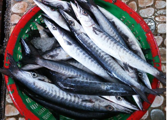 Ở Phú Quốc có đặc sản cá miệng nhọn hoắt, mình dài như mũi tên nhưng ngon và bổ, không nơi nào sánh bằng - Ảnh 1.
