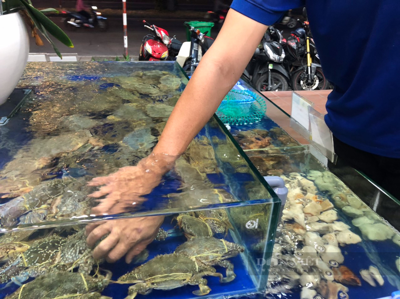 Người Sài Gòn săn hải sản ăn lễ, có loại ngày thường giá 400.000 đồng/kg, nay gần cả triệu - Ảnh 1.