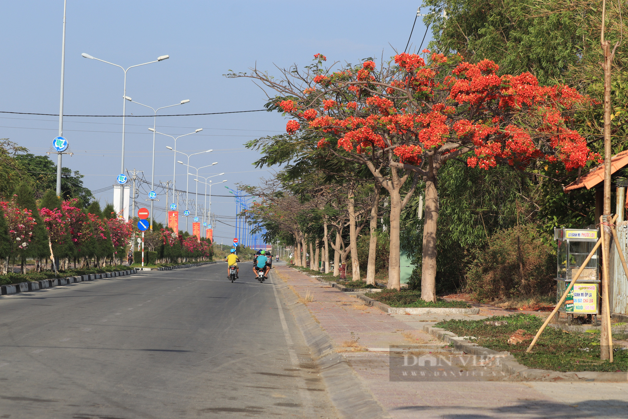 Ba cung đường sặc sỡ màu sắc ở Cần Giờ thu hút giới trẻ trải nghiệm, check-in trong dịp lễ 1/5 - Ảnh 8.