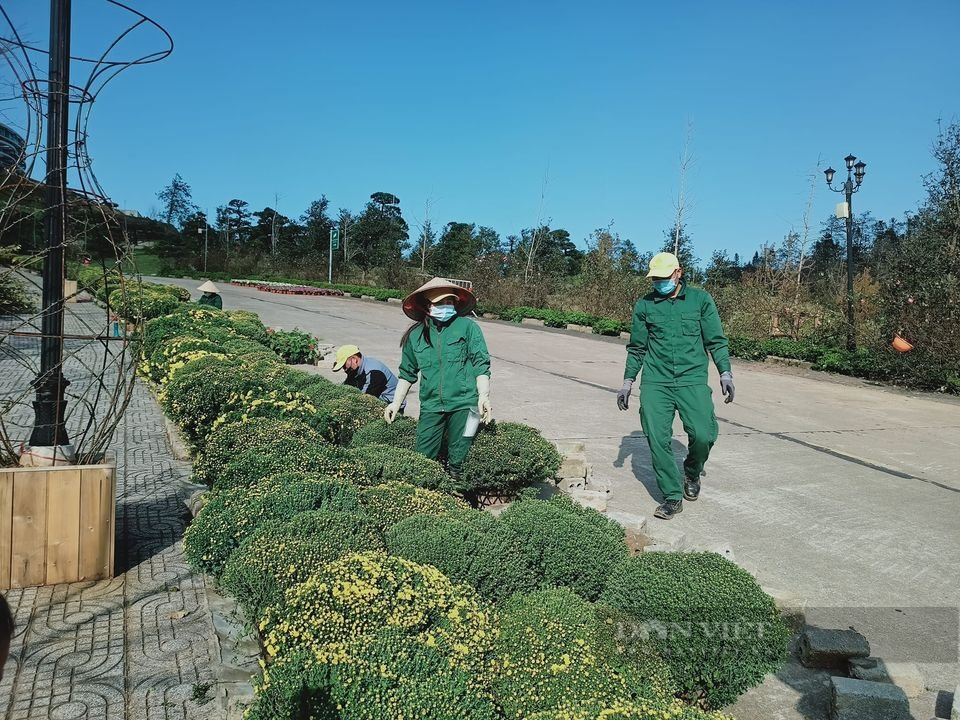 Sa Pa thu hút lao động trở lại làm việc trong điều kiện bình thường mới - Ảnh 3.