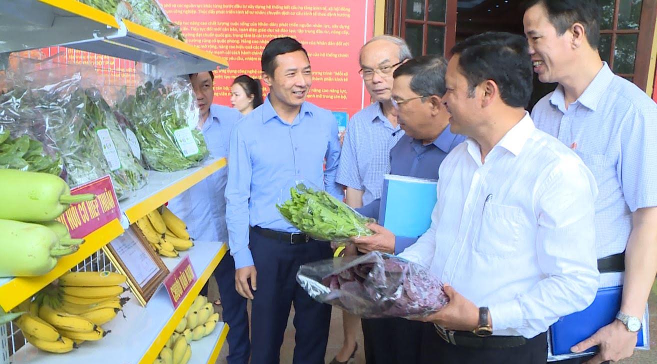 Hà Nội: Đưa đặc sản chuối Vân Nam, rau an toàn Xuân Phú và nhiều sản phẩm OCOP lên sàn Postmart - Ảnh 1.