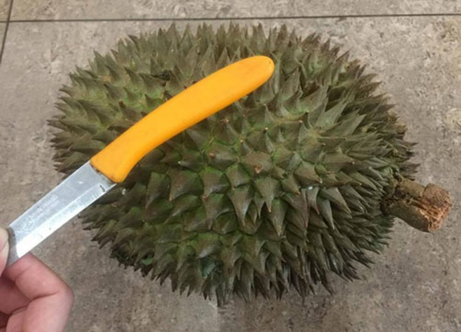 5 secrets to choose soft, sweet durian, thick rice, not shy: The seller never reveals it - Photo 3.