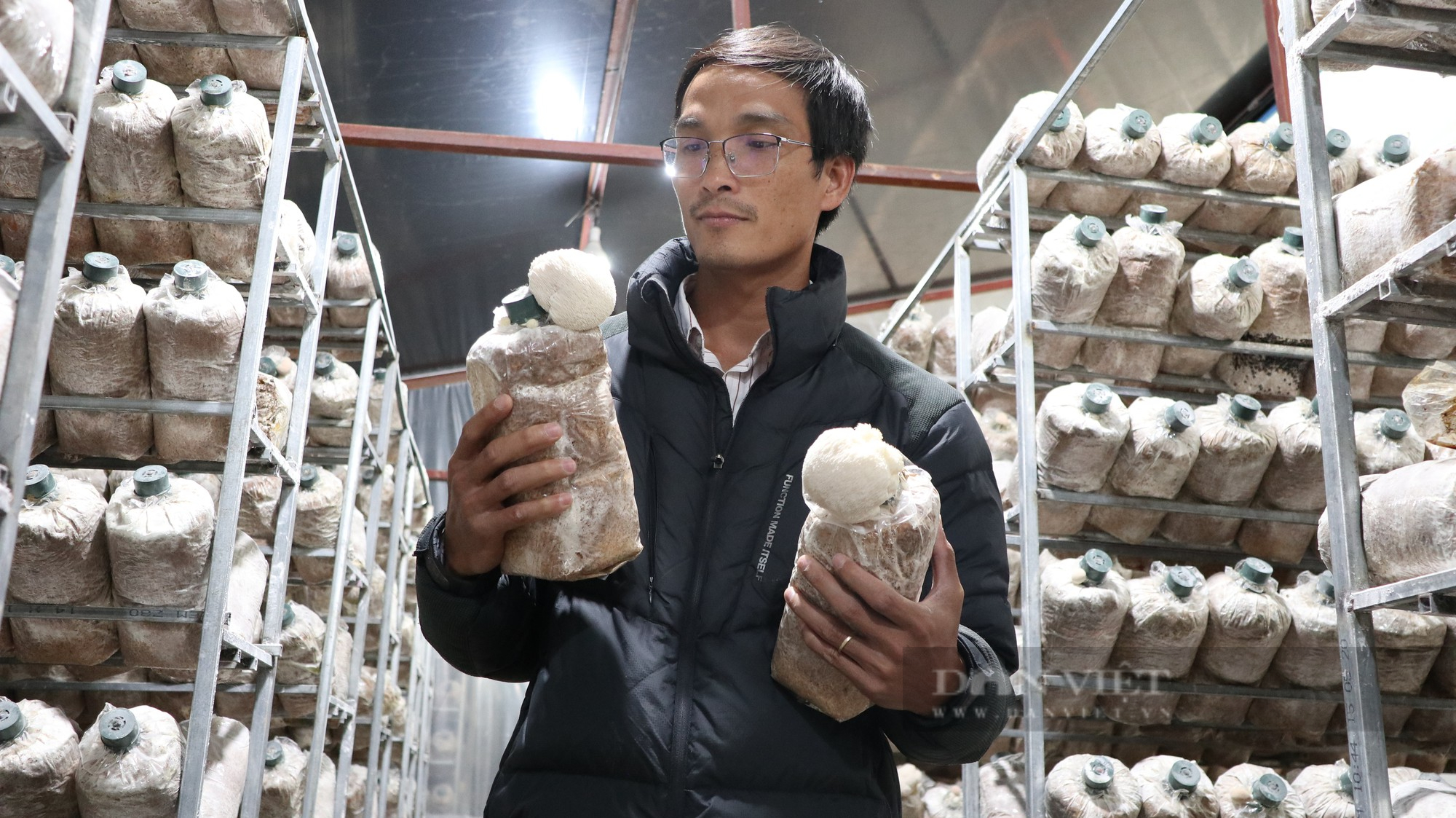 Thạc sĩ sinh học về trồng nấm hầu thủ, bán gần 200 ngàn/kg kiếm bộn tiền - Ảnh 1.