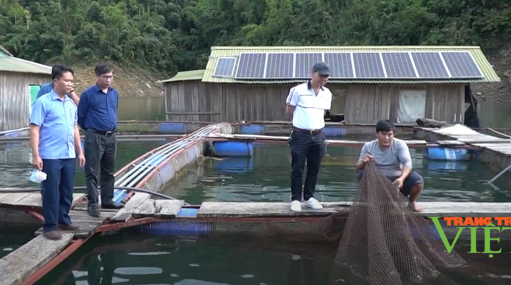 Lai Châu: Phát triển nuôi trồng thủy sản theo hướng bền vững - Ảnh 5.