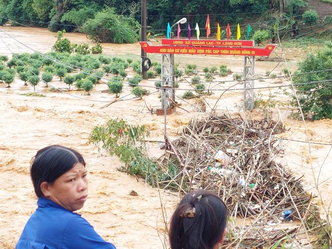 Hơn 1500 ha hoa màu, 300 ha thủy sản ở Lạng Sơn bị ngập và cuốn trôi do mưa lớn - Ảnh 2.