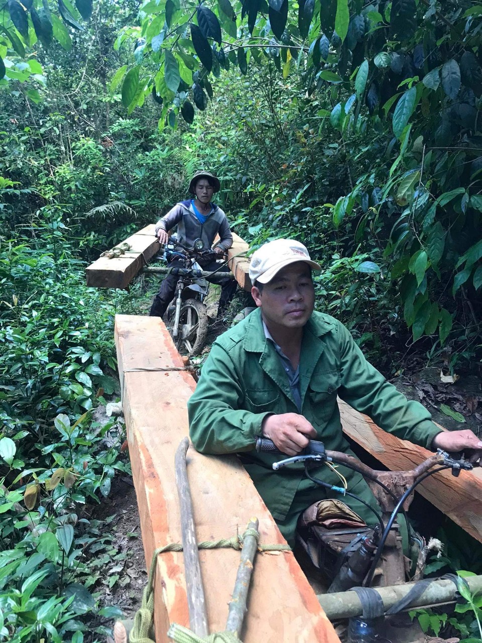 Từ Đắk Lắk qua Gia Lai khai thác gần 20 m3 gỗ trái phép - Ảnh 1.