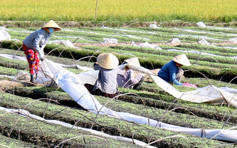 Sốt đất, phân lô tách thửa đất nông nghiệp tràn lan, cử tri Tây Ninh kiến nghị nóng đến đoàn Đại biểu Quốc hội