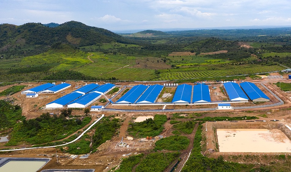 Khu nông nghiệp công nghệ cao nghìn tỷ DHN Đắk Lắk chính thức đón lứa heo hậu bị đầu tiên  - Ảnh 2.