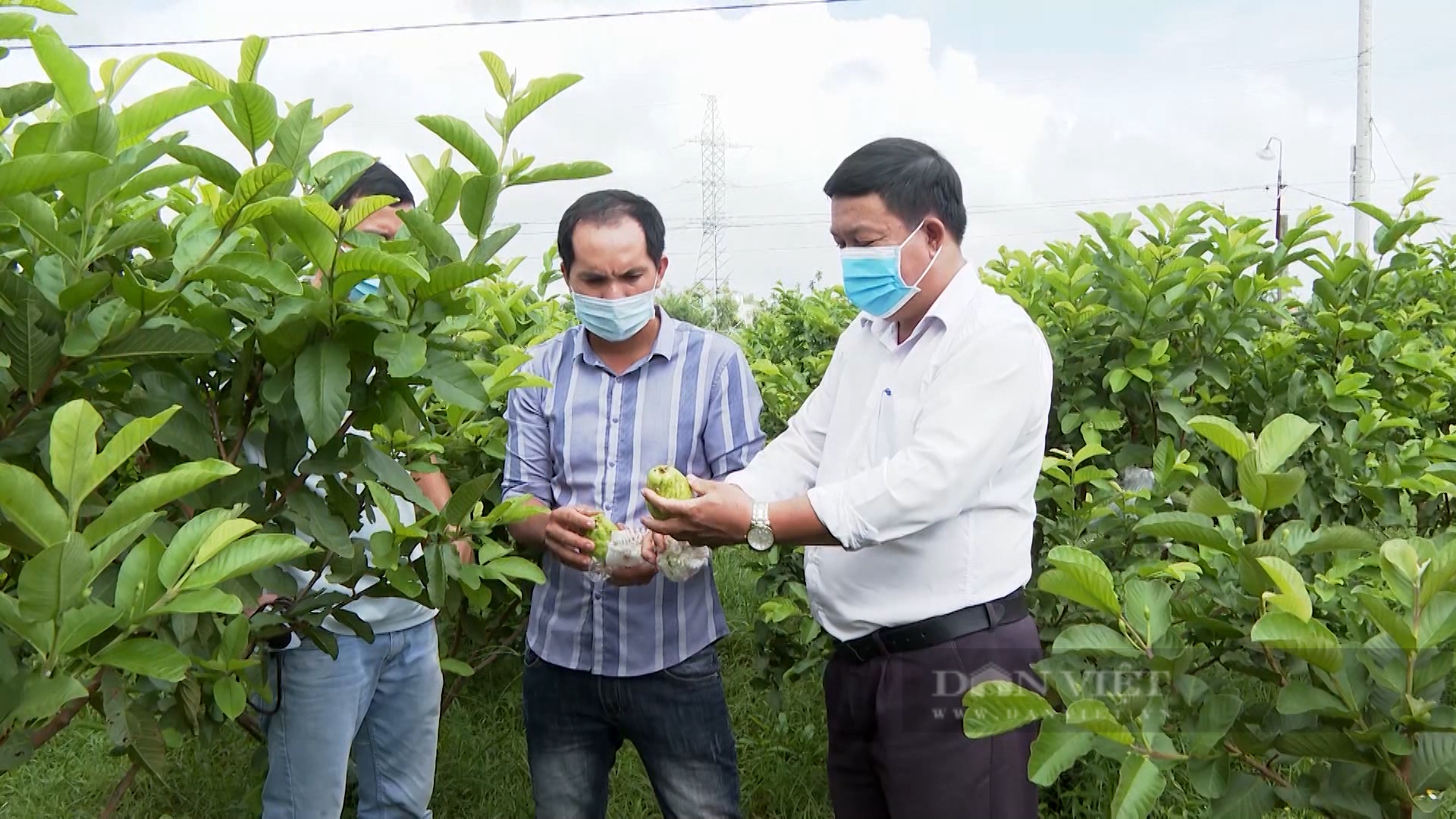 Hội Nông dân Quảng Nam: Nâng cao vai trò chủ thể của nông dân trong việc xây dựng NTM - Ảnh 3.