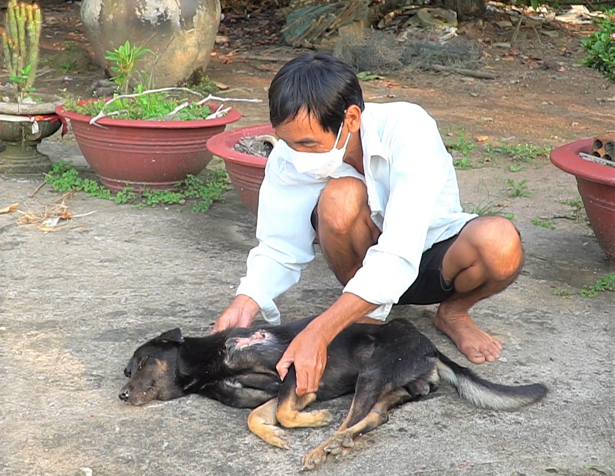 Vùng quê rúng động vì nạn trộm chó - Ảnh 2.