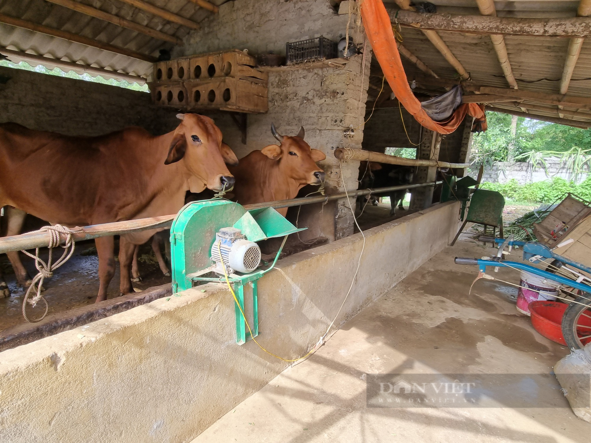 Ninh Bình: Thành lập nhiều tổ hội nghề nghiệp và giao vốn quỹ hỗ trợ nông dân - Ảnh 3.