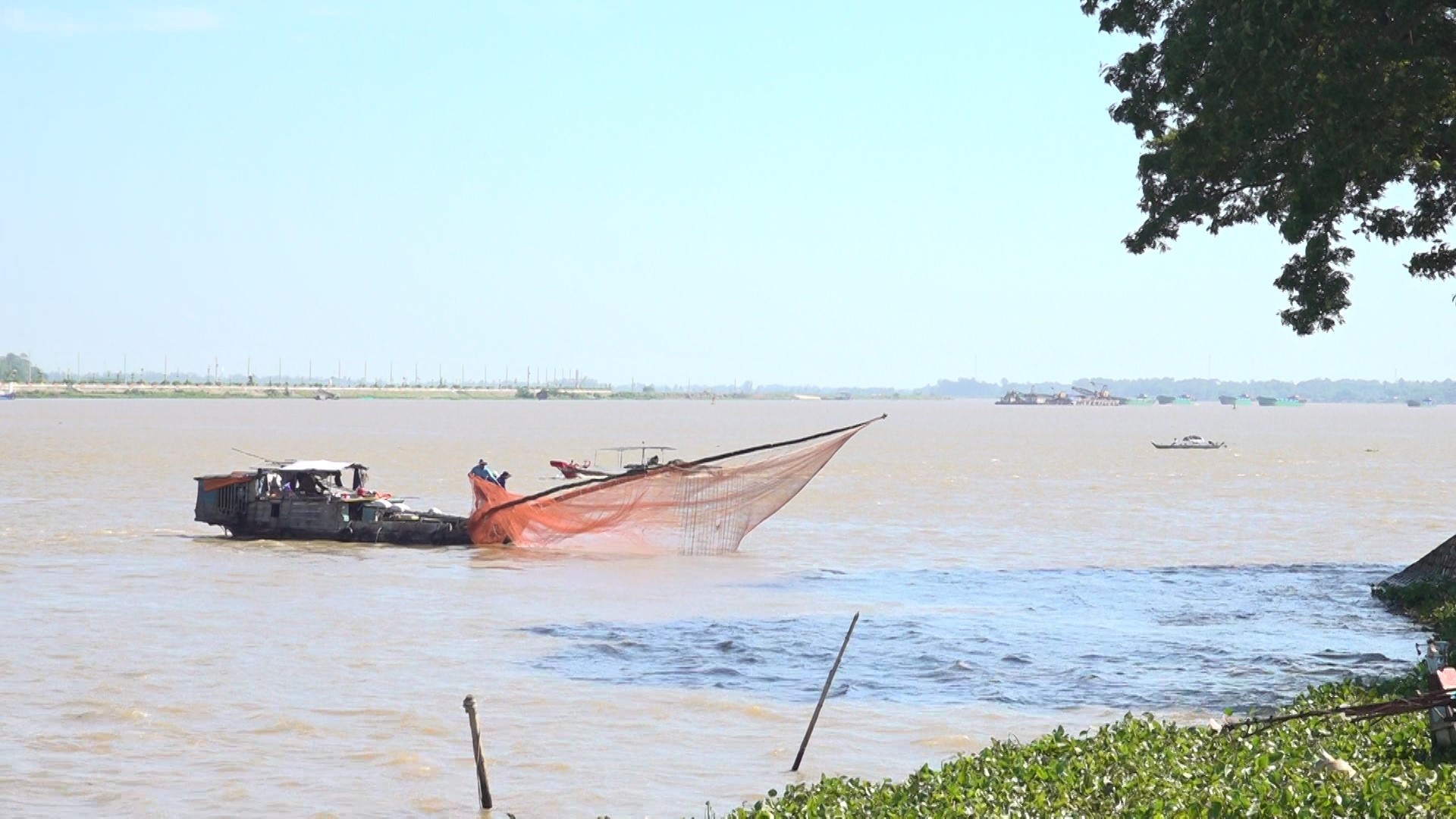 Vào mùa nước nổi, để bắt được nhiều loài cá ví như sản vật này, dân An Giang dùng ngư cụ gì? - Ảnh 1.