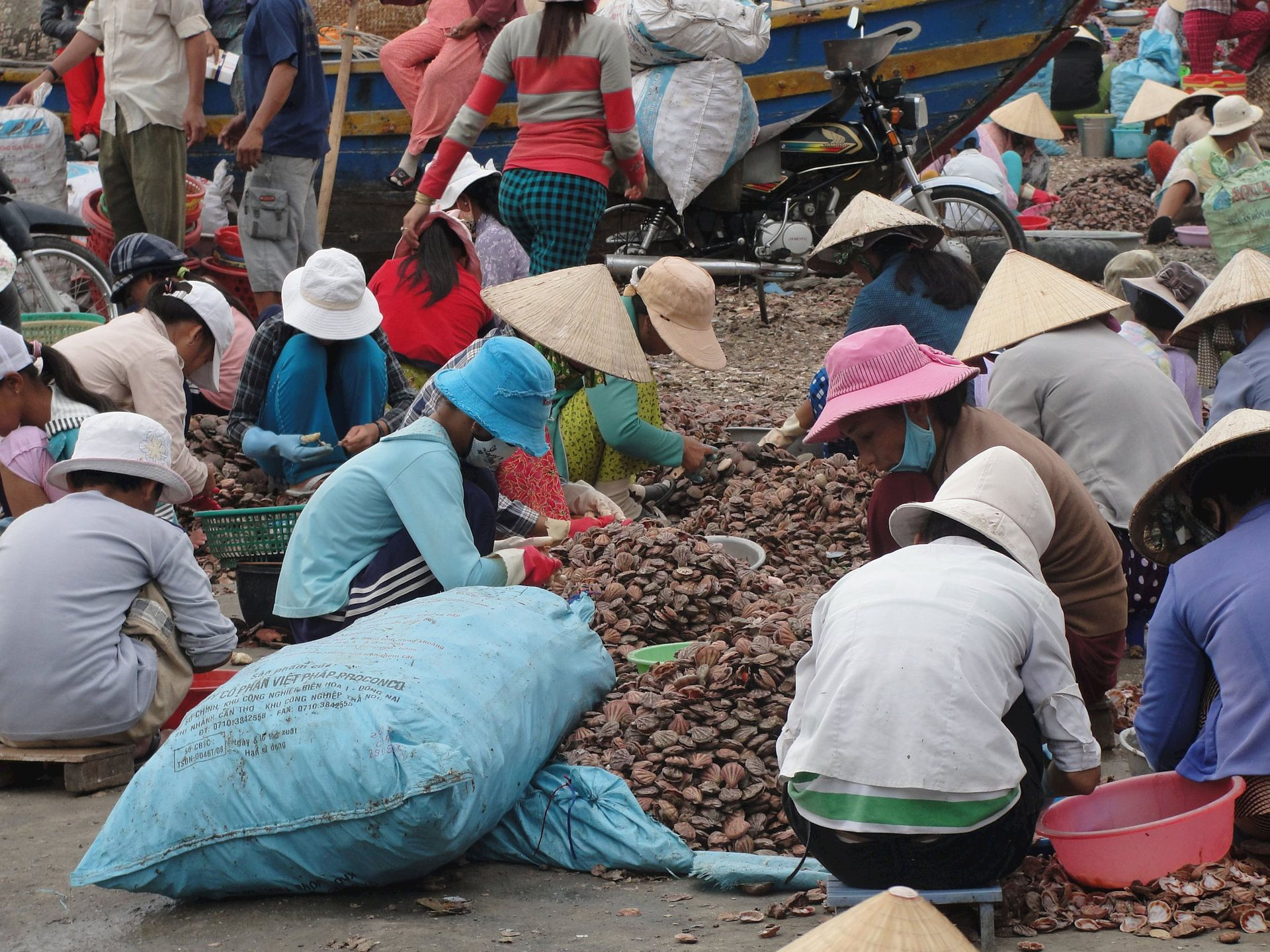 Vì sao tỉnh Bình Thuận lệnh cấm tất cả các hoạt động khai thác các loài hải đặc sản từ 1/4 đến 31/7? - Ảnh 2.