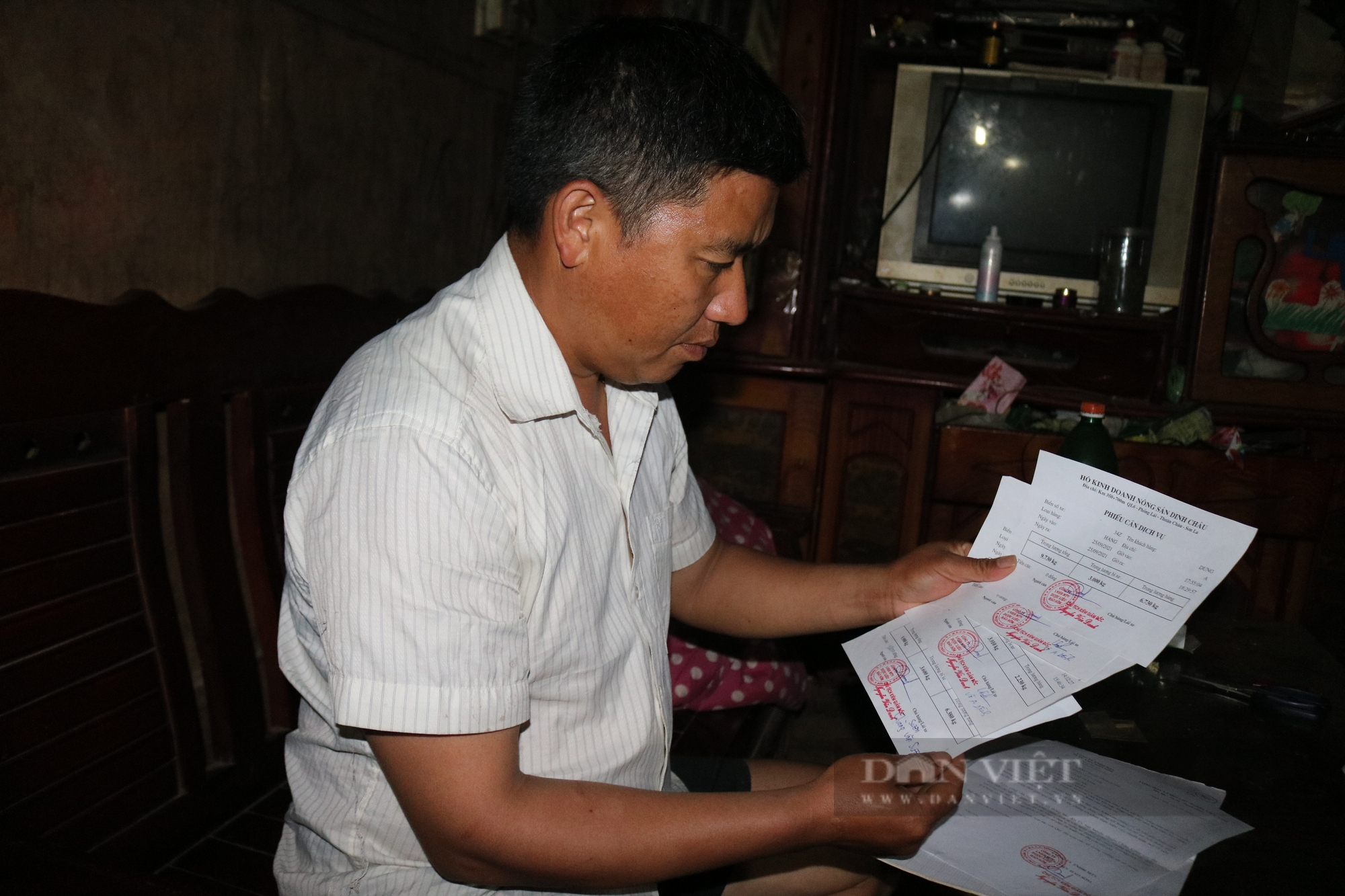Doanh nghiệp nợ hàng trăm triệu đồng tiền thu mua quả sơn tra của người dân vùng cao Sơn La - Ảnh 6.
