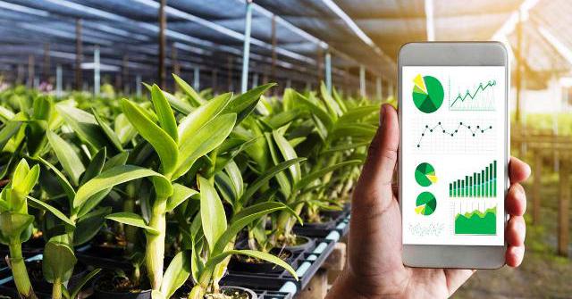 Many smart agricultural models create high-quality agricultural products