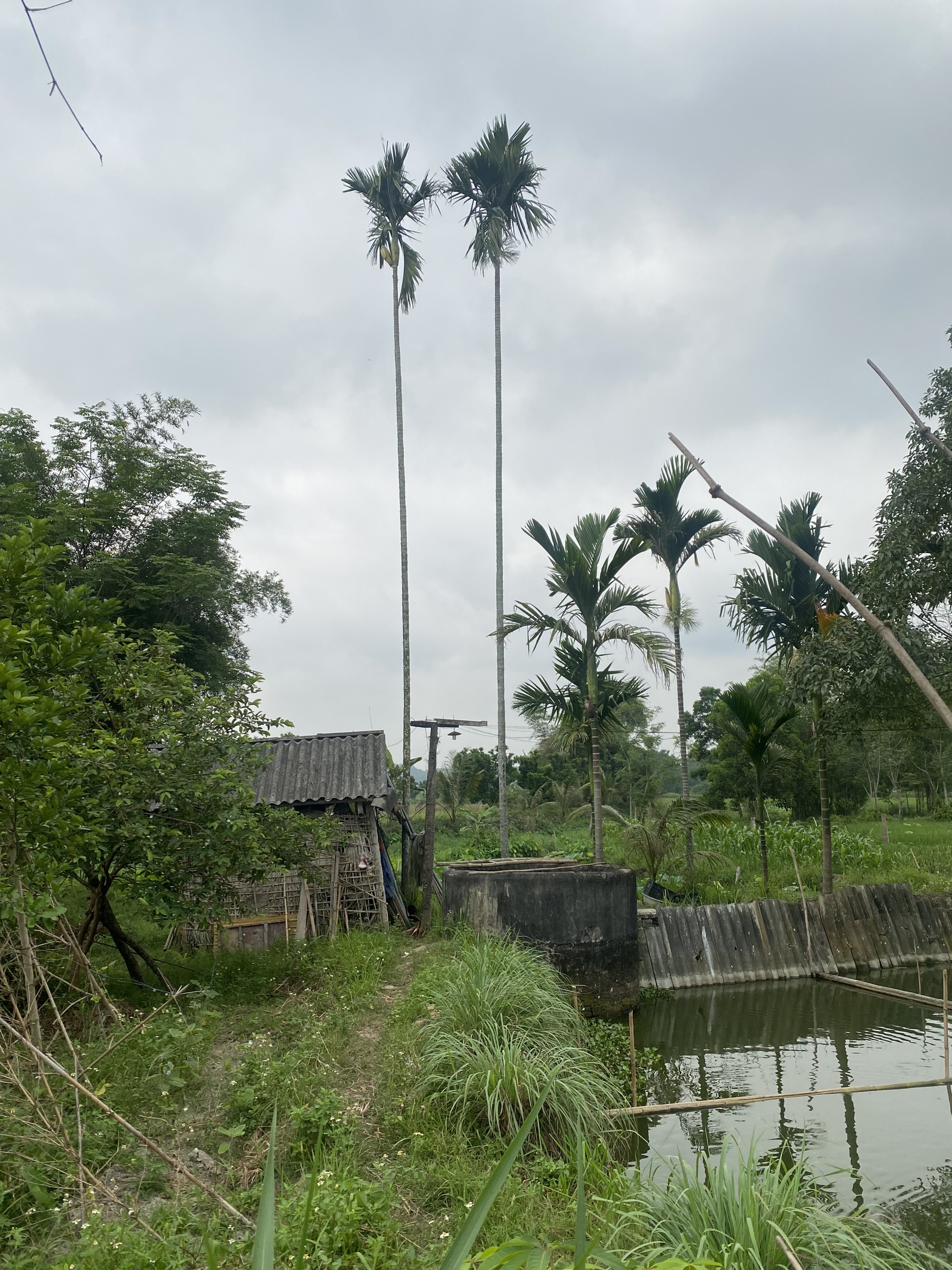 Telling a village story: The village well where the memory of a 