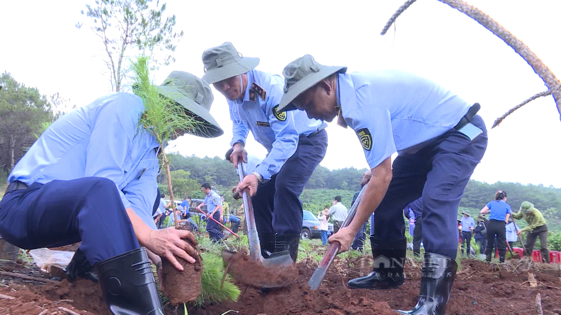 Gia Lai: Ra quân trồng 1.000 cây xanh ứng phó với biến đổi khí hậu - Ảnh 2.