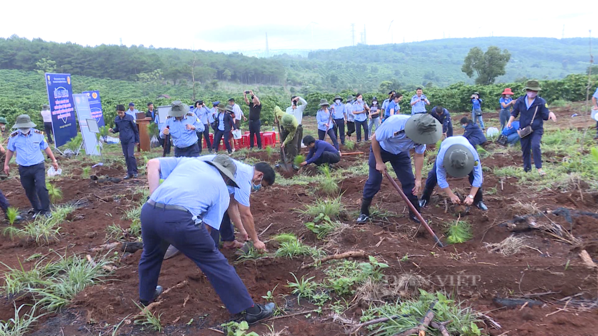 Gia Lai: Ra quân trồng 1.000 cây xanh ứng phó với biến đổi khí hậu - Ảnh 1.