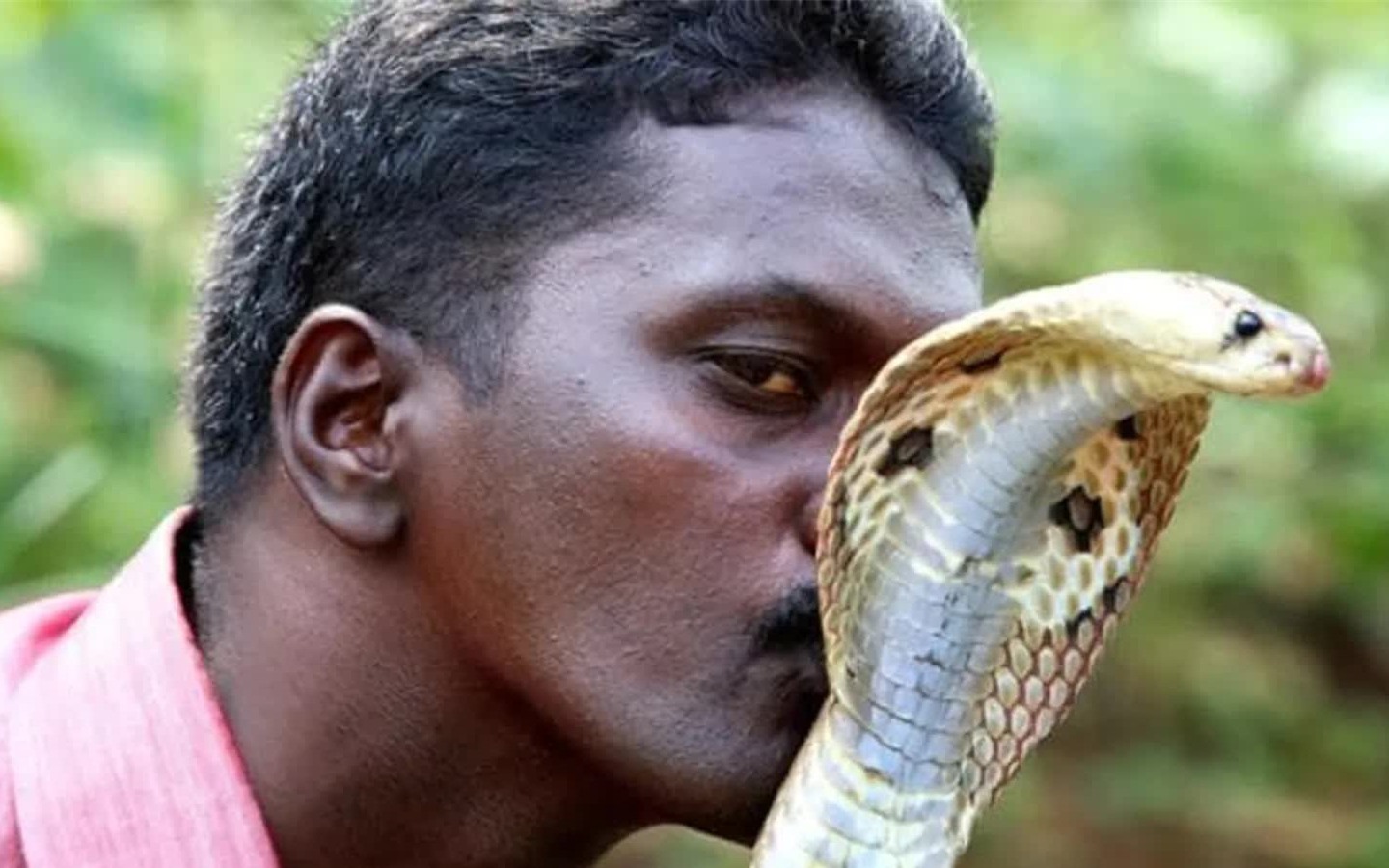 Why didn’t humans evolve to possess venom like snakes?