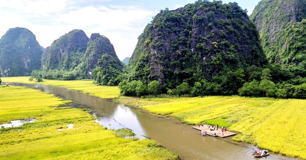 Surprised with the yellow color of Tam Coc – Trang An