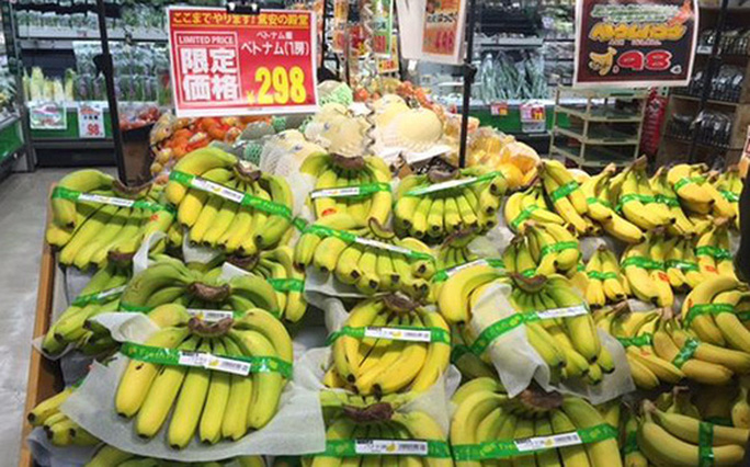 Thị phần quả chuối của Việt Nam tăng mạnh trong tổng nhập khẩu của Nhật Bản - Ảnh 1.