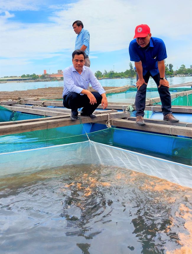 Chủ tịch Hội Nông dân tỉnh Thừa Thiên Huế thăm mô hình nuôi cá thu lãi tiền tỷ mỗi năm  - Ảnh 2.