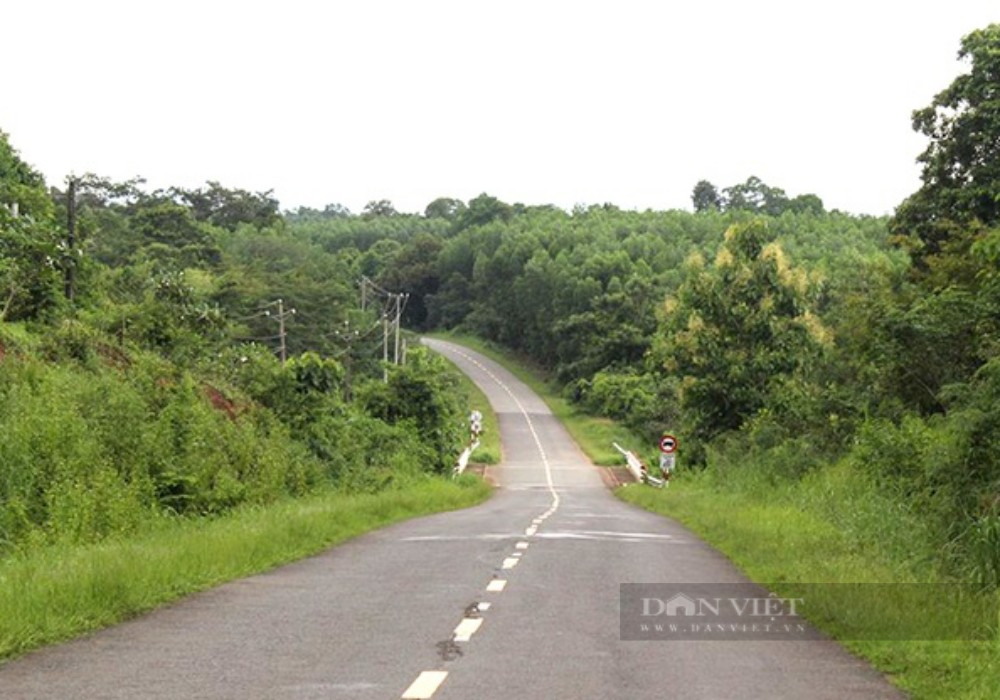 Bình Phước vẫn kiên định chọn tuyến cầu Mã Đà qua khu dự trữ sinh quyển nối liền tỉnh Đồng Nai - Ảnh 6.