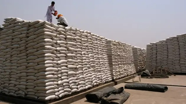 Ấn Độ cấm xuất khẩu lúa mì - Ảnh 1.