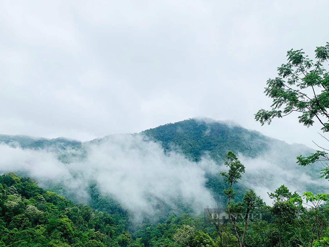 Hoài Khao – Giữa đẹp và nghèo - Ảnh 8.