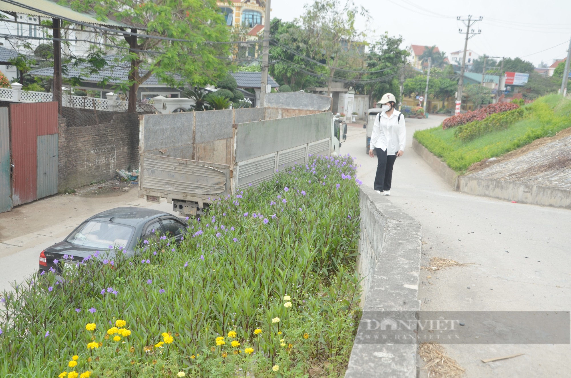 Hà Nội: Tuyến đê kiểu mẫu &quot;thay áo mới&quot; khiến ai cũng phải trầm trồ, ngợi khen  - Ảnh 8.