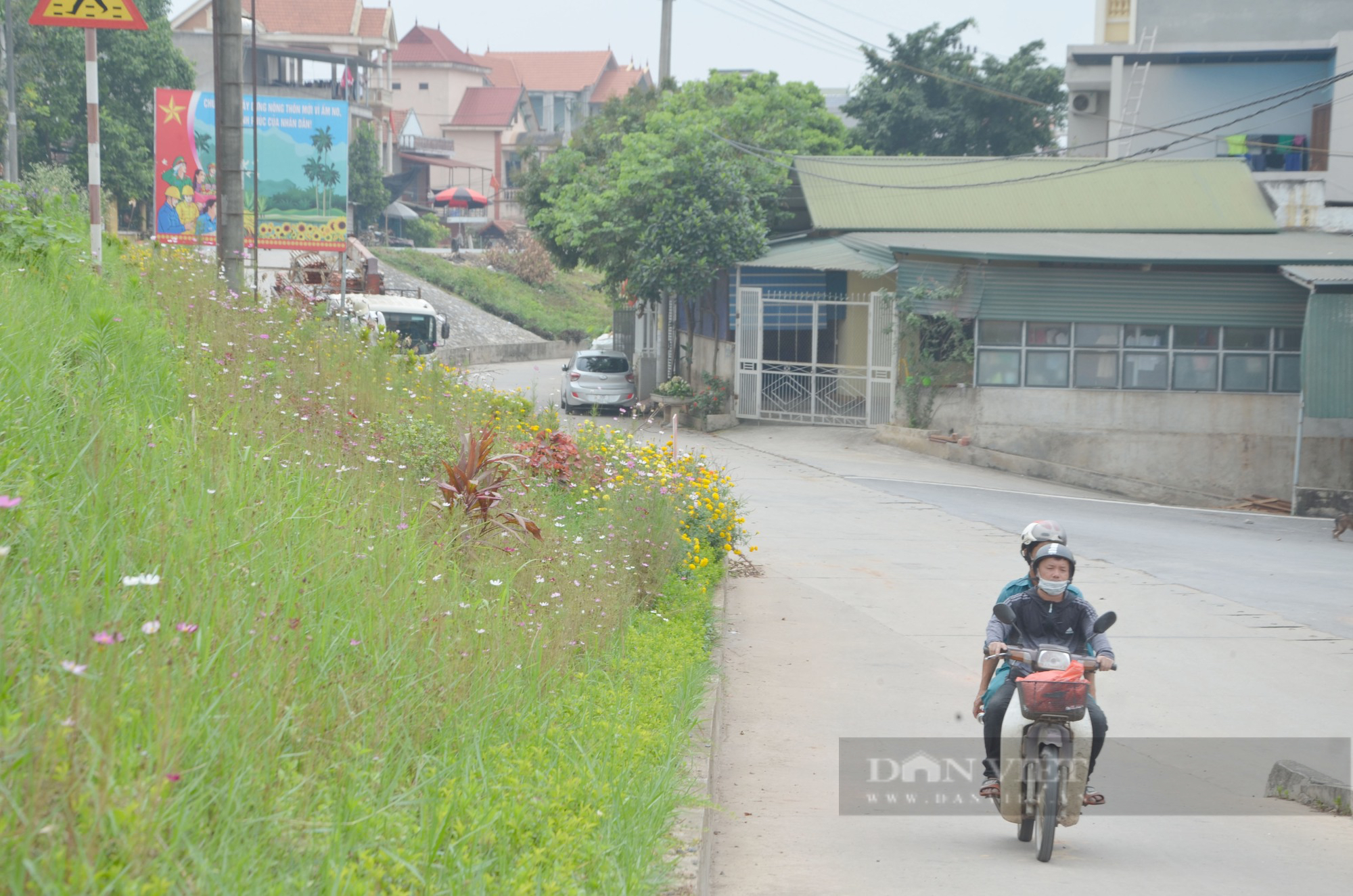 Hà Nội: Tuyến đê kiểu mẫu &quot;thay áo mới&quot; khiến ai cũng phải trầm trồ, ngợi khen  - Ảnh 9.