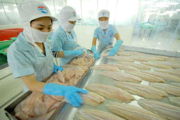 Canada là nước nhập khẩu cá tra lớn thứ 2 của Việt Nam trong khối CPTPP - Ảnh 1.