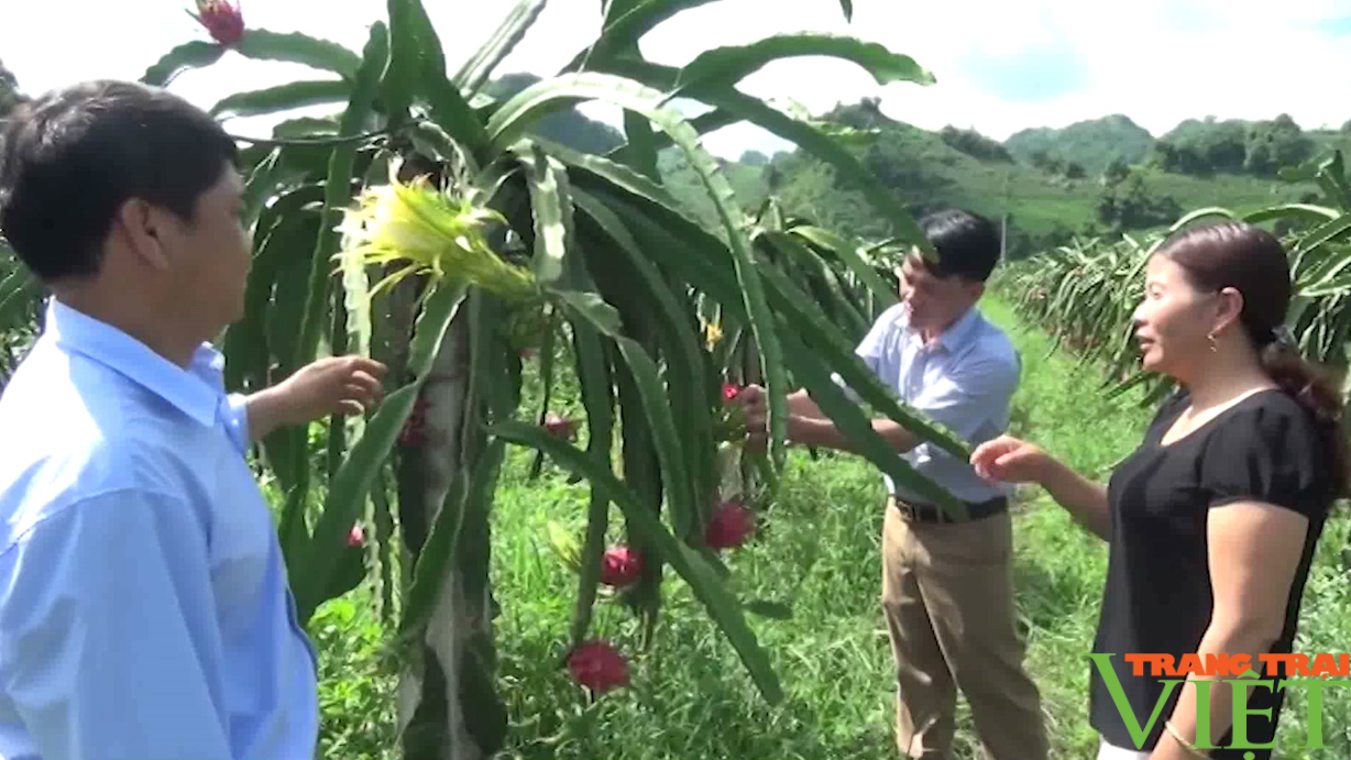 Mở rộng liên kết, sản xuất nông nghiệp bền vững - Ảnh 2.