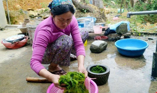 Lạ kỳ món rêu mọc trên đá nhưng lại là đặc sản trời ban  hút du lịch tại vùng cao Tây Bắc - Ảnh 3.