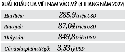 Nông sản Việt Nam “đổ bộ” mạnh vào Mỹ - Ảnh 2.