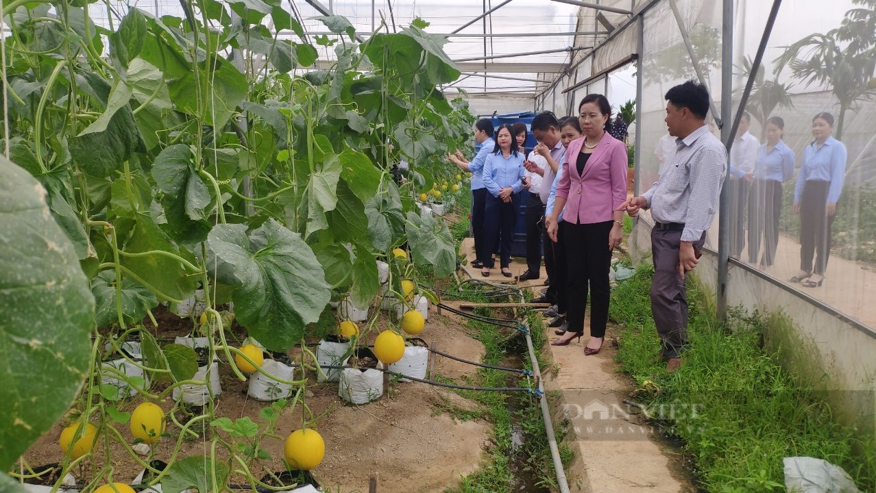 Phó Chủ tịch Hội Nông dân Việt Nam Bùi Thị Thơm kiểm tra công tác Hội và phong trào nông dân tại Thanh Hóa- Ảnh 4.
