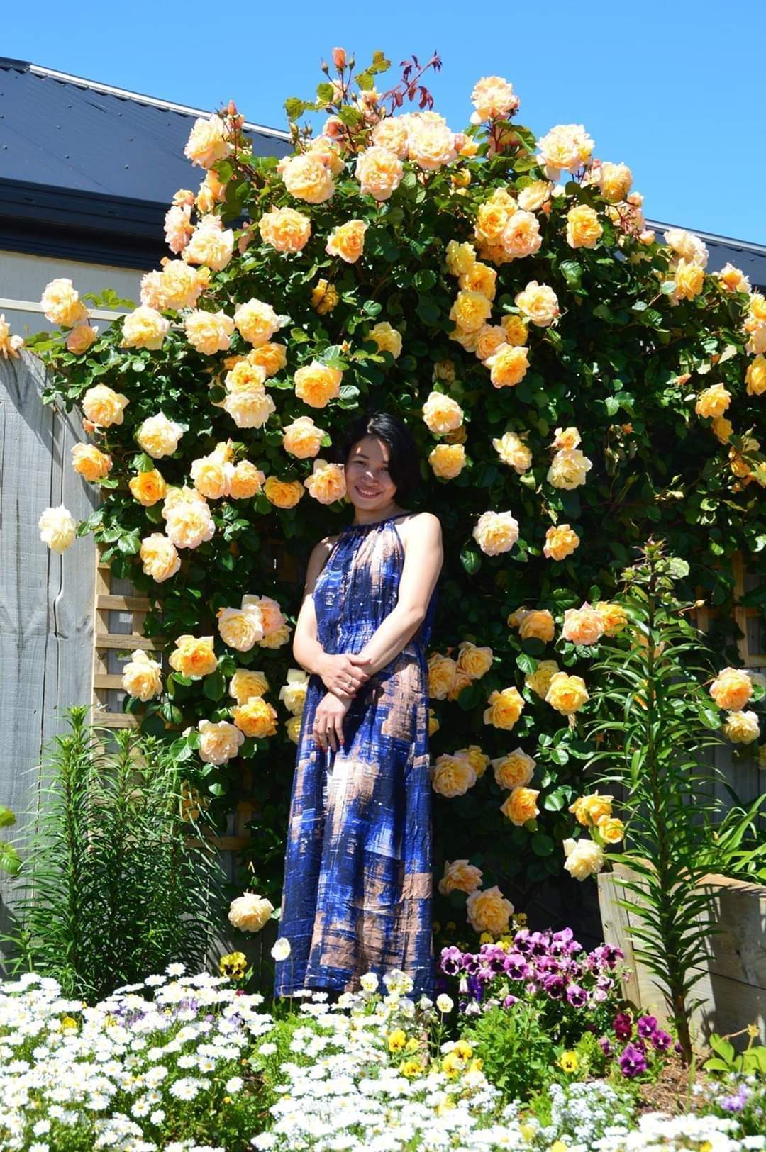 Nhà đẹp: Choáng ngợp với khu vườn hoa nở quanh năm đẹp tựa cổ tích của mẹ Việt tại Úc - Ảnh 6.