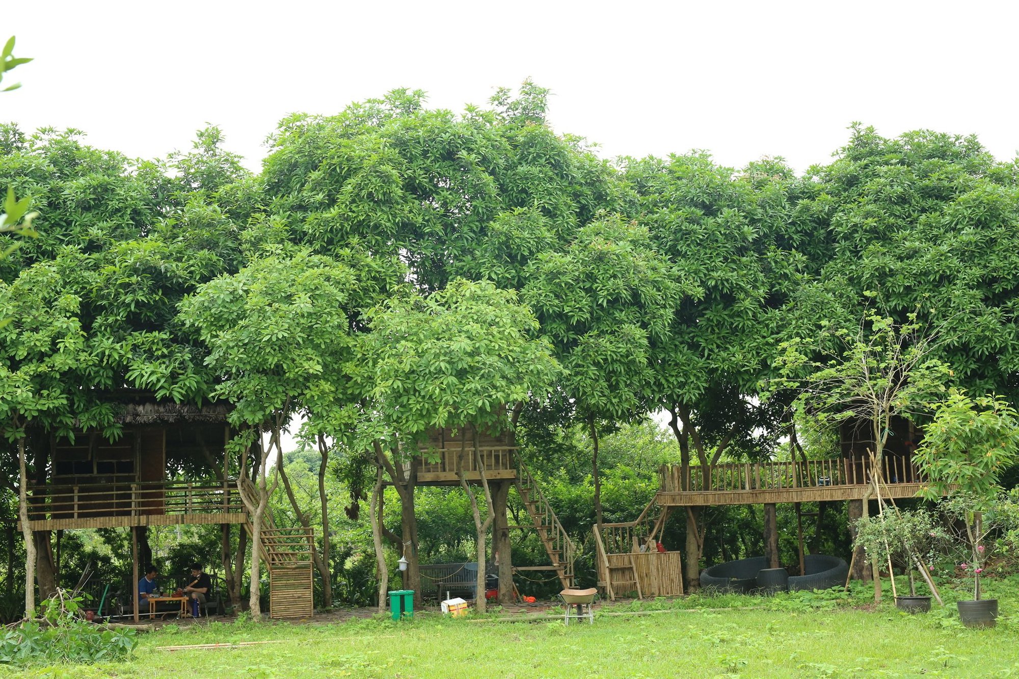 Nhà đẹp: Ông chủ vườn xoài chia sẻ cách làm nhà vườn trên cây cho các gia đình thư giãn cuối tuần  - Ảnh 8.