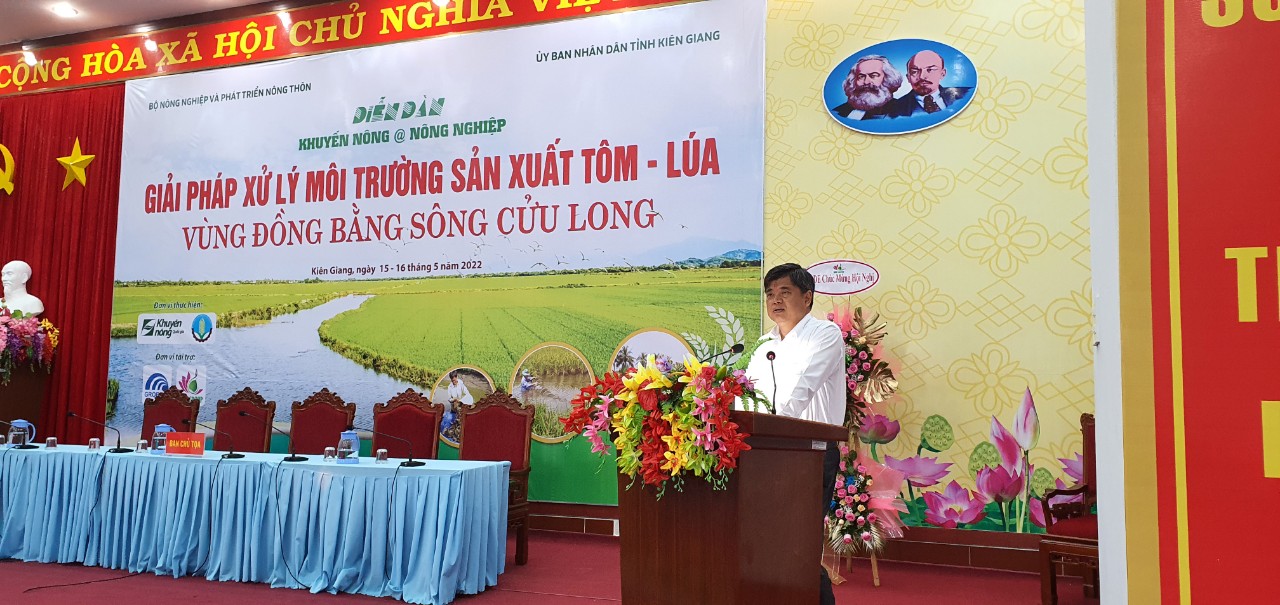 Kiên Giang: Thả tôm, cua, cá trê vàng vào ruộng lúa, bắt lên toàn con to béo, nhiều người kéo đến xem - Ảnh 5.