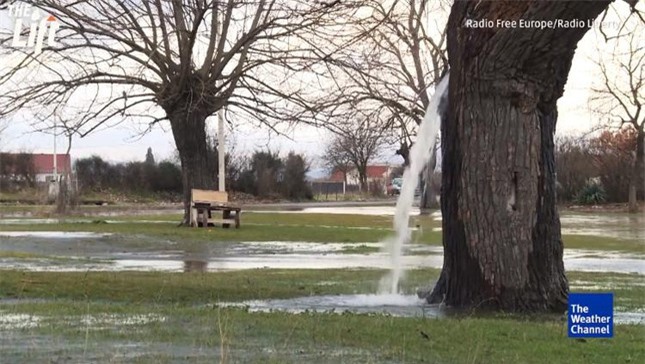 The unsolved mystery of the 100-year-old mulberry tree can pour water like a stream - Photo 1.