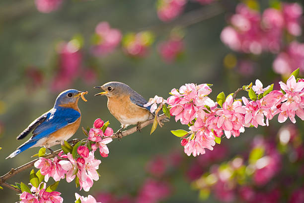 Sinh vào ngày Âm lịch này vận mệnh may mắn, cuộc sống thuận lợi, phú quý bất ngờ - Ảnh 2.