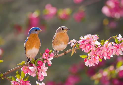 Sinh vào ngày Âm lịch này vận mệnh may mắn, cuộc sống thuận lợi, phú quý bất ngờ - Ảnh 4.