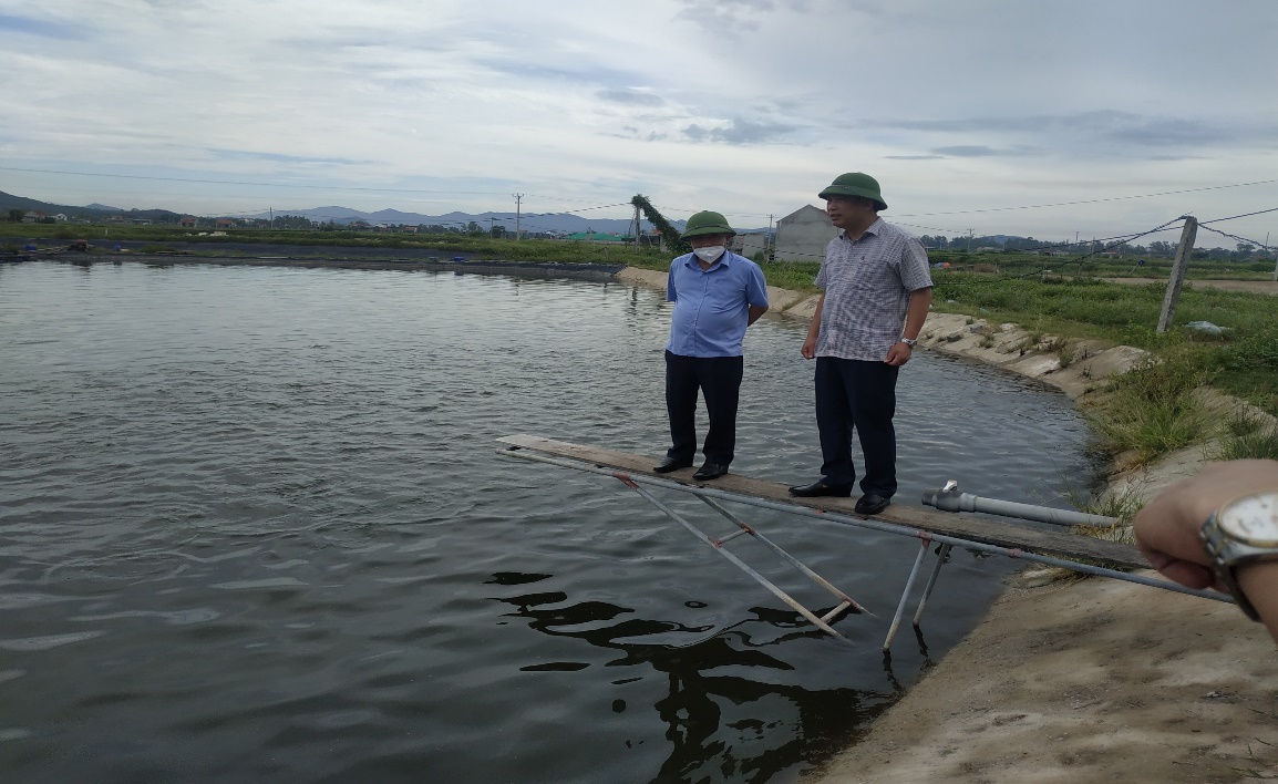 Cá hồng Mỹ là cá gì mà sau 8 tháng nuôi ở Nghệ An, bắt hơn 8 tấn, kéo lưới lên nhiều người tới xem - Ảnh 2.