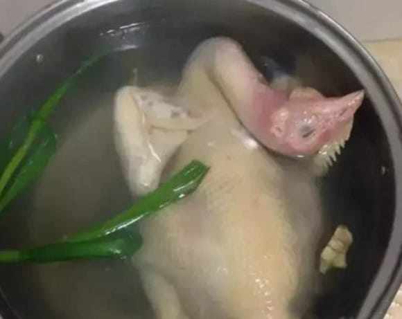 Boil chicken, duck with belly facing up or down for golden shiny skin, delicious as a restaurant?  - Photo 1.