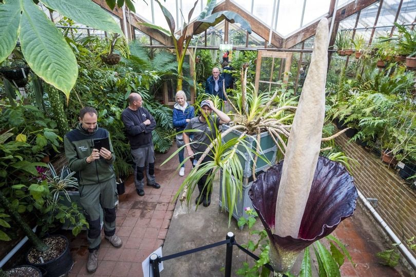 Controversy about tourists plucking flowers with 